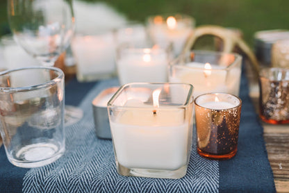 White Tea & Violet: 2-in-1 Soy Lotion Candle: Medium - 6 oz