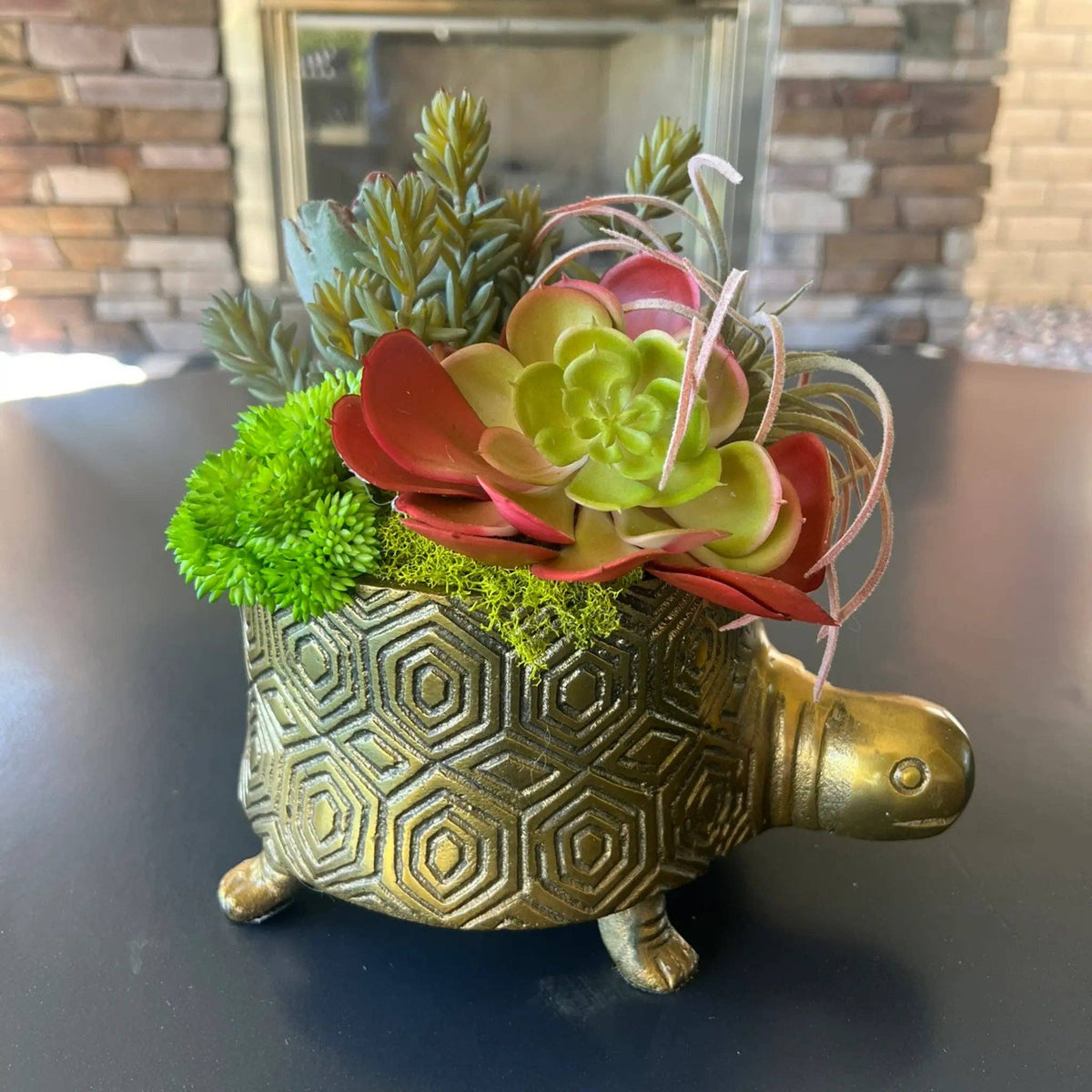 Turtle Faux Succulent Arrangement