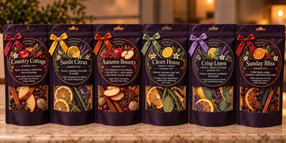 Simmer Pot Kit | Kitchen Botanical Blend | Fall Simmer Pot: Clean house