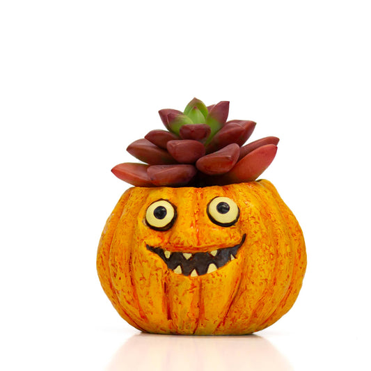 Snickers Mini Blobhouse Pumpkin Planter