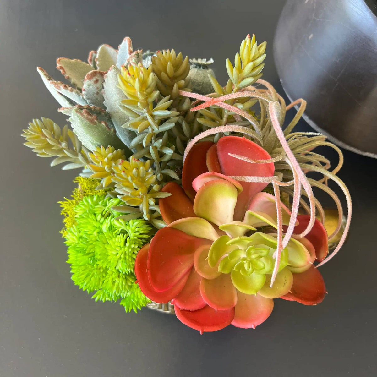 Turtle Faux Succulent Arrangement